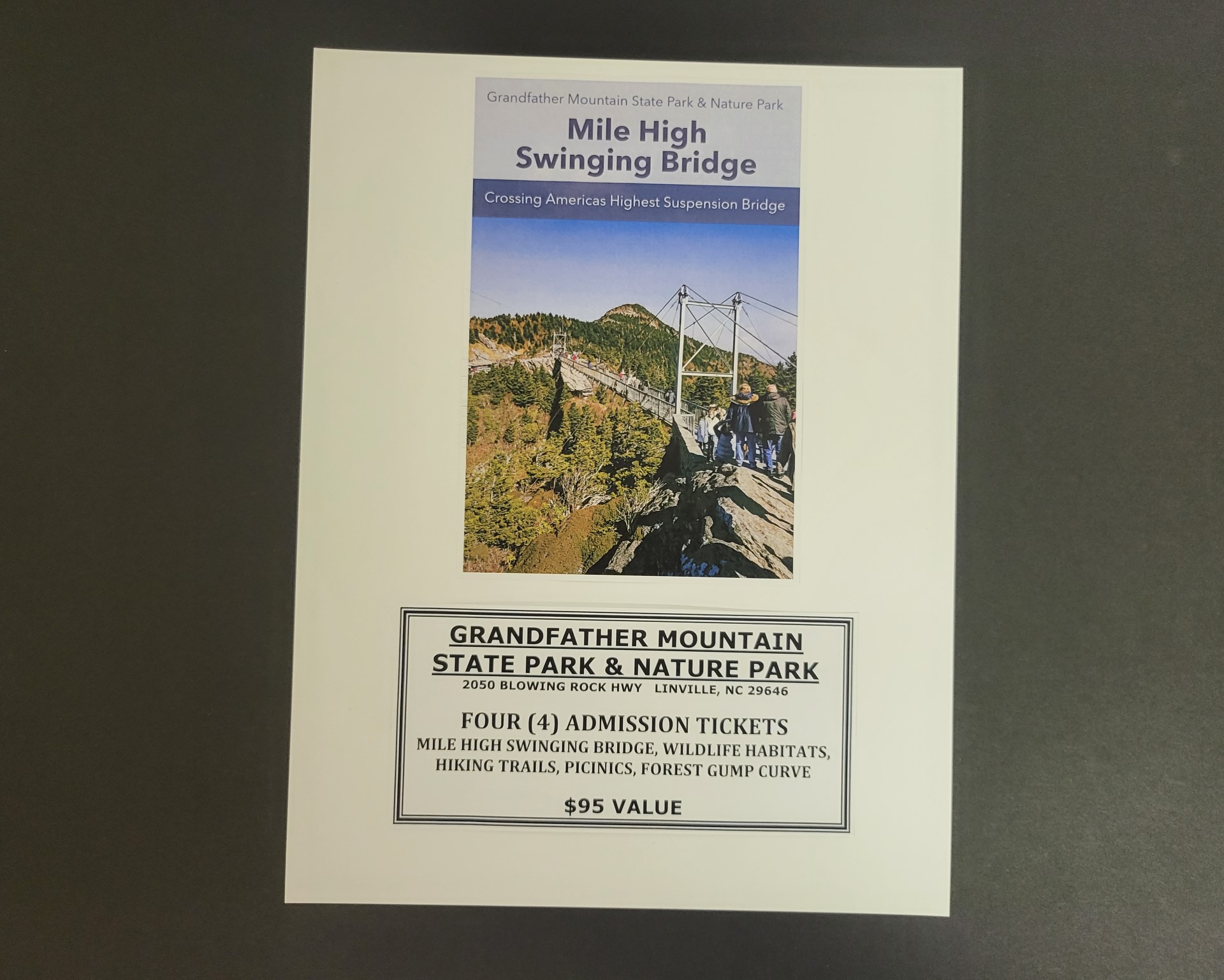 20230516_084435 (Custom)